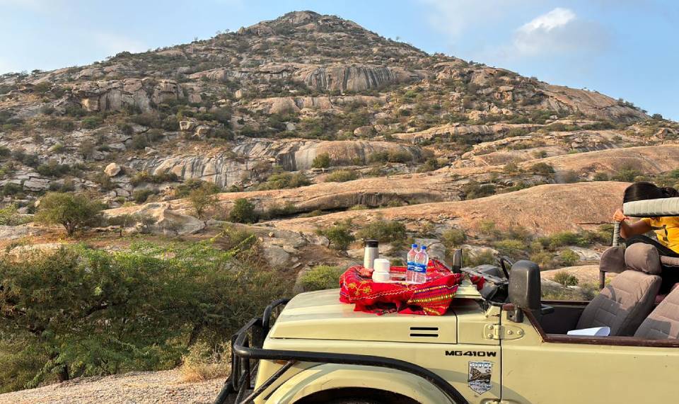 leopard jungle safari in jawai