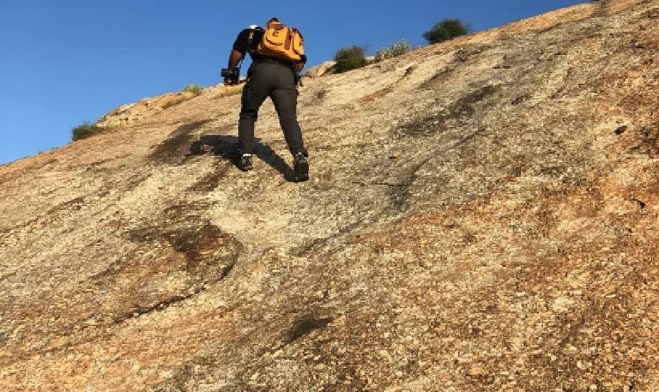 leopard jungle safari in jawai