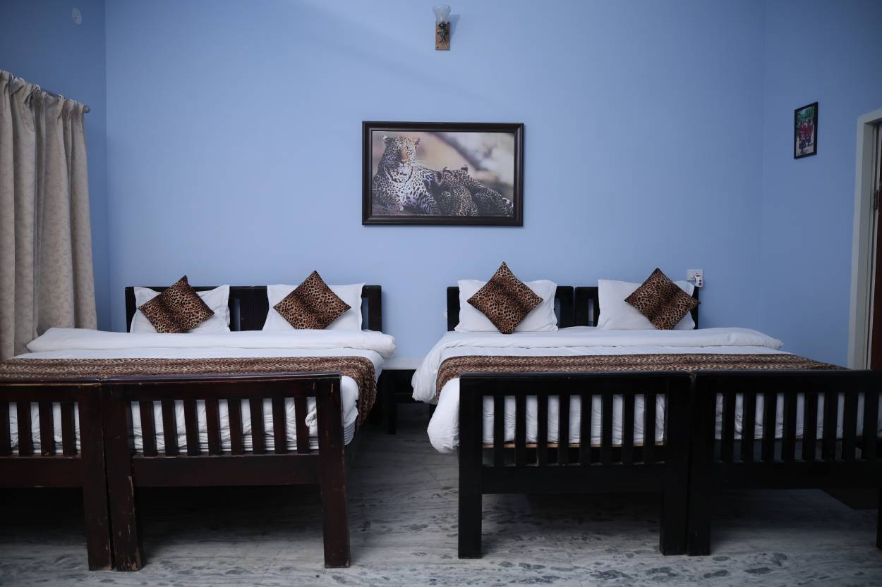 Luxury Cottage Interior View